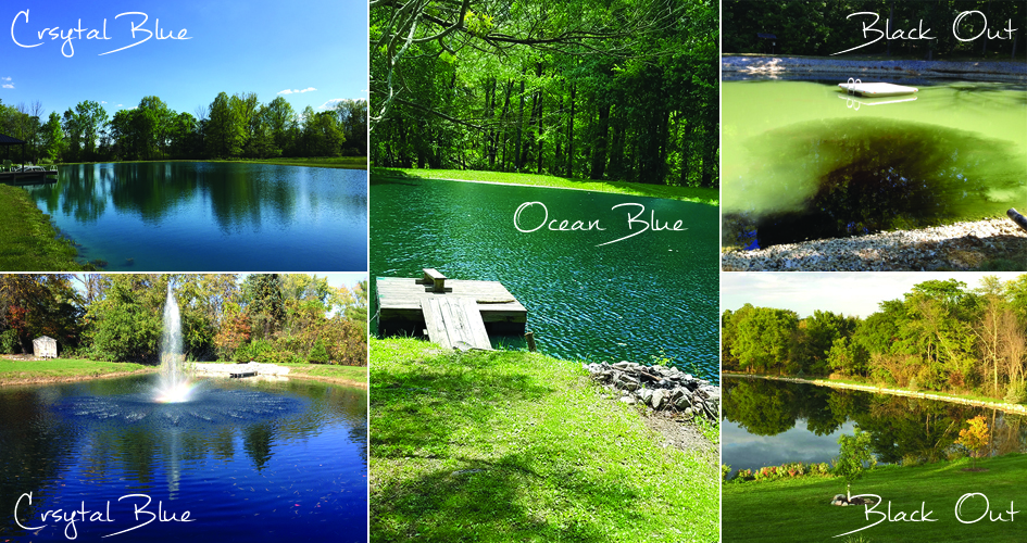 Pond Dye is a Valuable Asset to Any Pond ??? Pond Champs